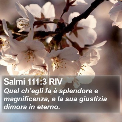 Salmi 111:3 RIV Bible Verse Image