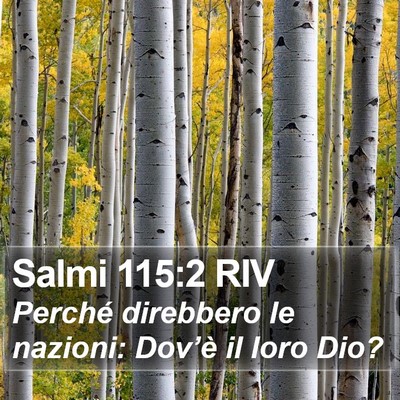 Salmi 115:2 RIV Bible Verse Image