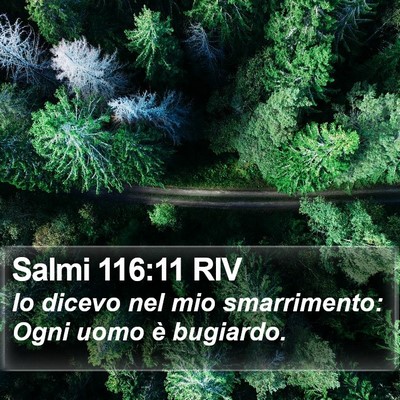 Salmi 116:11 RIV Bible Verse Image