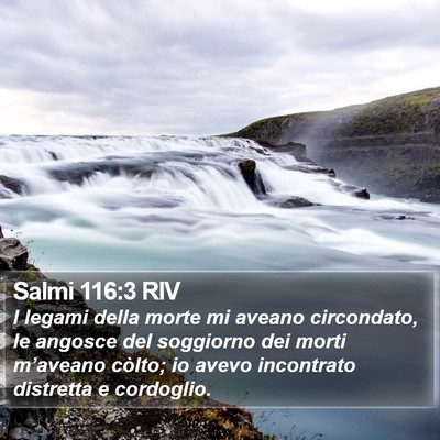 Salmi 116:3 RIV Bible Verse Image