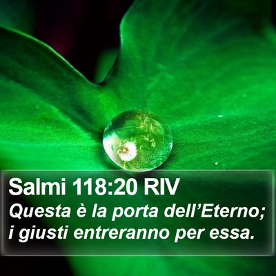 Salmi 118:20 RIV Bible Verse Image