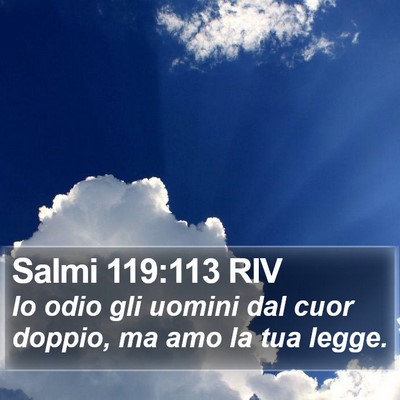 Salmi 119:113 RIV Bible Verse Image