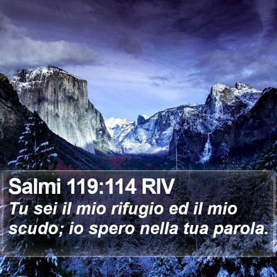 Salmi 119:114 RIV Bible Verse Image