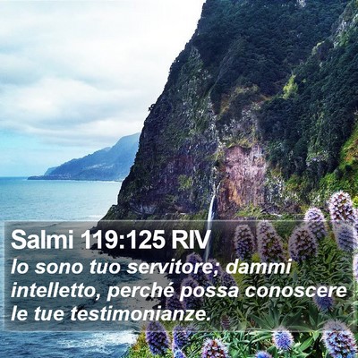 Salmi 119:125 RIV Bible Verse Image