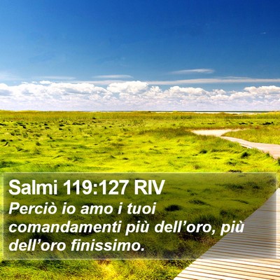 Salmi 119:127 RIV Bible Verse Image