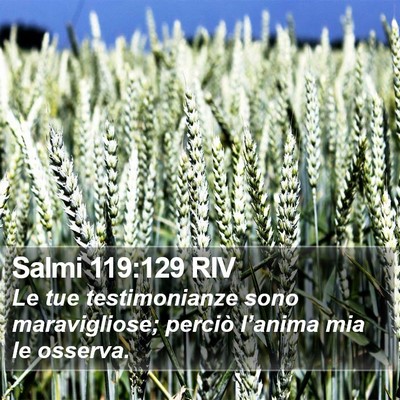 Salmi 119:129 RIV Bible Verse Image