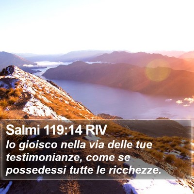 Salmi 119:14 RIV Bible Verse Image