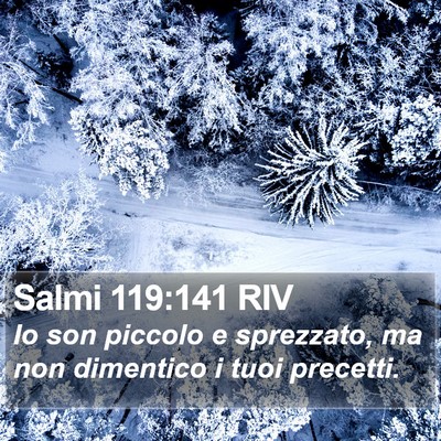 Salmi 119:141 RIV Bible Verse Image