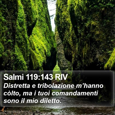 Salmi 119:143 RIV Bible Verse Image