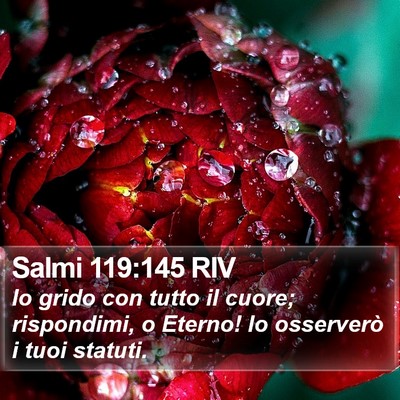 Salmi 119:145 RIV Bible Verse Image