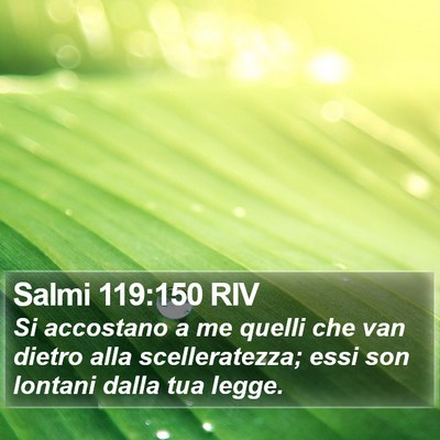 Salmi 119:150 RIV Bible Verse Image