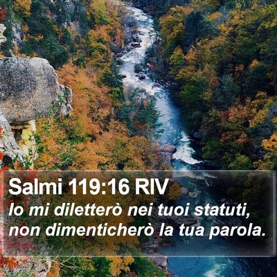 Salmi 119:16 RIV Bible Verse Image