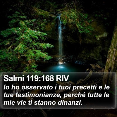 Salmi 119:168 RIV Bible Verse Image