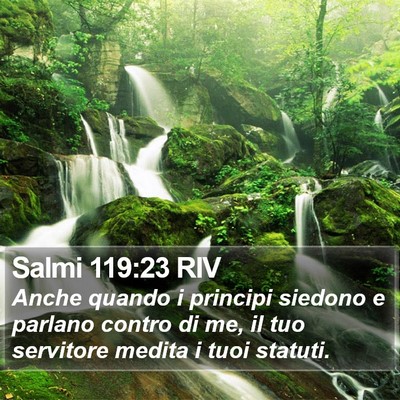 Salmi 119:23 RIV Bible Verse Image