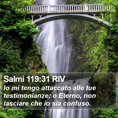 Salmi 119:31 RIV Bible Verse Image