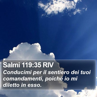 Salmi 119:35 RIV Bible Verse Image