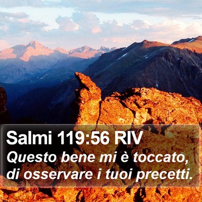 Salmi 119:56 RIV Bible Verse Image