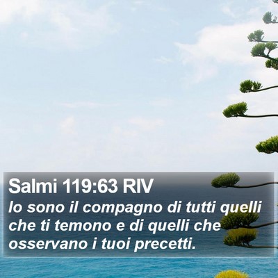 Salmi 119:63 RIV Bible Verse Image