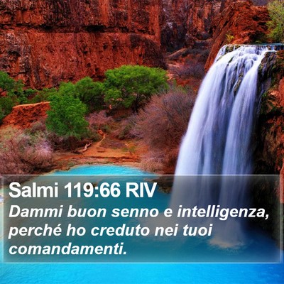 Salmi 119:66 RIV Bible Verse Image