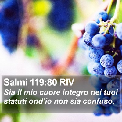 Salmi 119:80 RIV Bible Verse Image