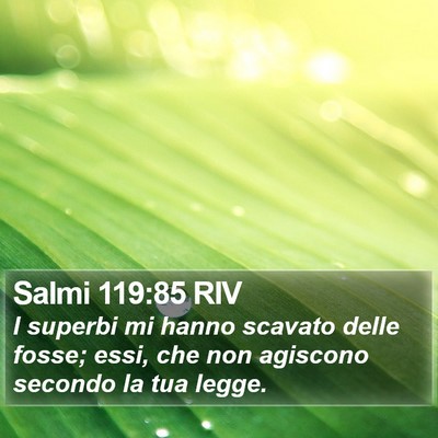 Salmi 119:85 RIV Bible Verse Image