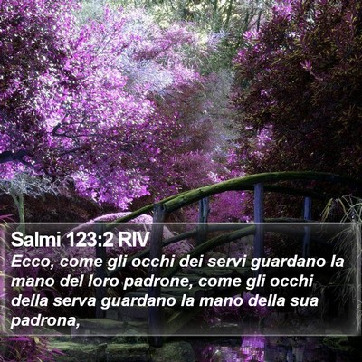 Salmi 123:2 RIV Bible Verse Image