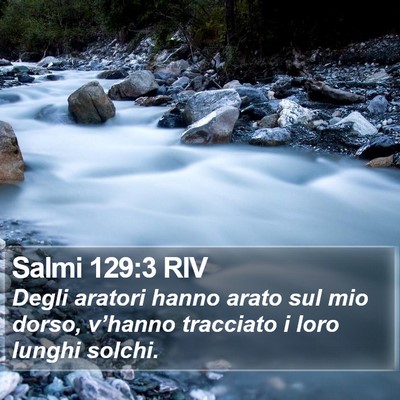 Salmi 129:3 RIV Bible Verse Image