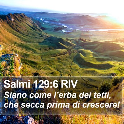 Salmi 129:6 RIV Bible Verse Image