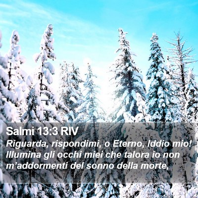 Salmi 13:3 RIV Bible Verse Image