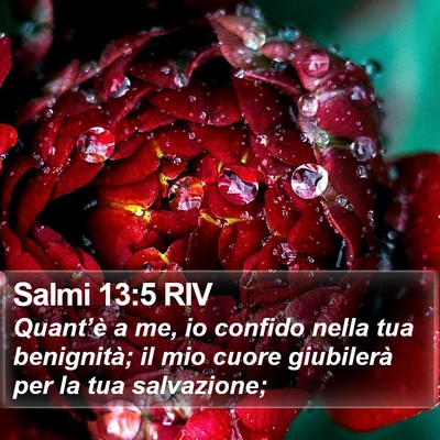 Salmi 13:5 RIV Bible Verse Image