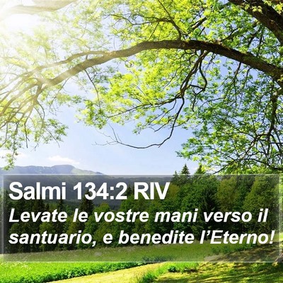 Salmi 134:2 RIV Bible Verse Image