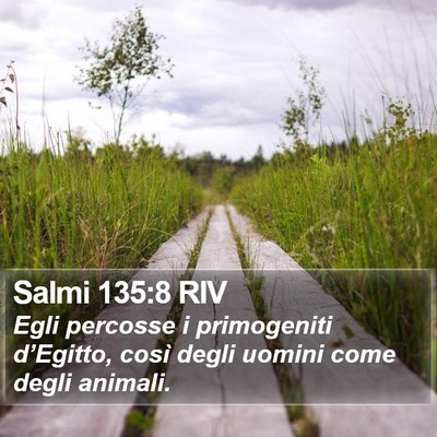 Salmi 135:8 RIV Bible Verse Image