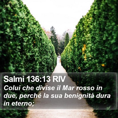 Salmi 136:13 RIV Bible Verse Image