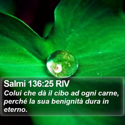 Salmi 136:25 RIV Bible Verse Image