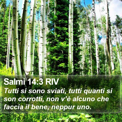 Salmi 14:3 RIV Bible Verse Image
