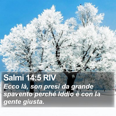 Salmi 14:5 RIV Bible Verse Image