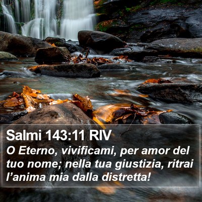 Salmi 143:11 RIV Bible Verse Image