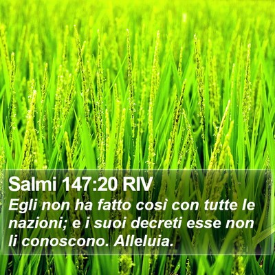 Salmi 147:20 RIV Bible Verse Image