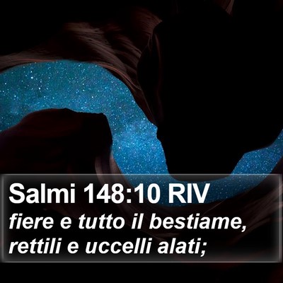 Salmi 148:10 RIV Bible Verse Image