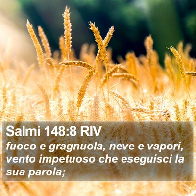 Salmi 148:8 RIV Bible Verse Image