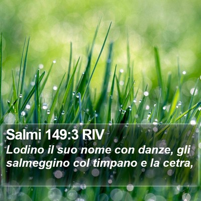 Salmi 149:3 RIV Bible Verse Image