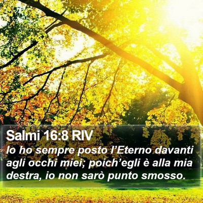 Salmi 16:8 RIV Bible Verse Image