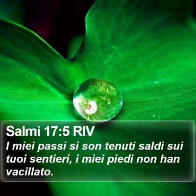Salmi 17:5 RIV Bible Verse Image