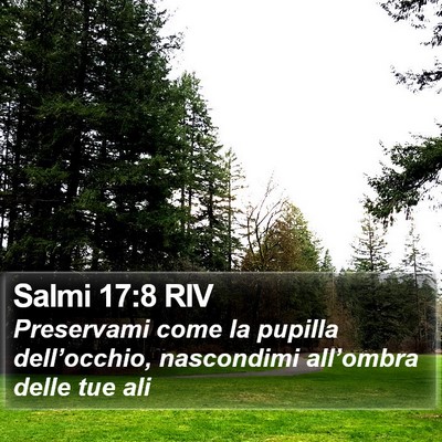 Salmi 17:8 RIV Bible Verse Image