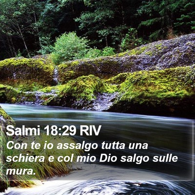 Salmi 18:29 RIV Bible Verse Image