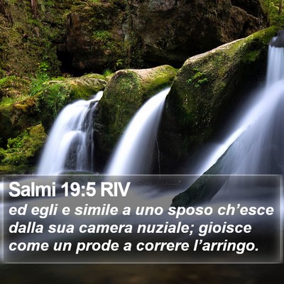 Salmi 19:5 RIV Bible Verse Image