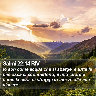 Salmi 22:14 RIV Bible Verse Image
