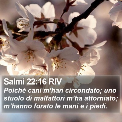 Salmi 22:16 RIV Bible Verse Image