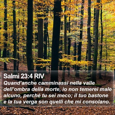 Salmi 23:4 RIV Bible Verse Image