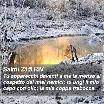 Salmi 23:5 RIV Bible Verse Image